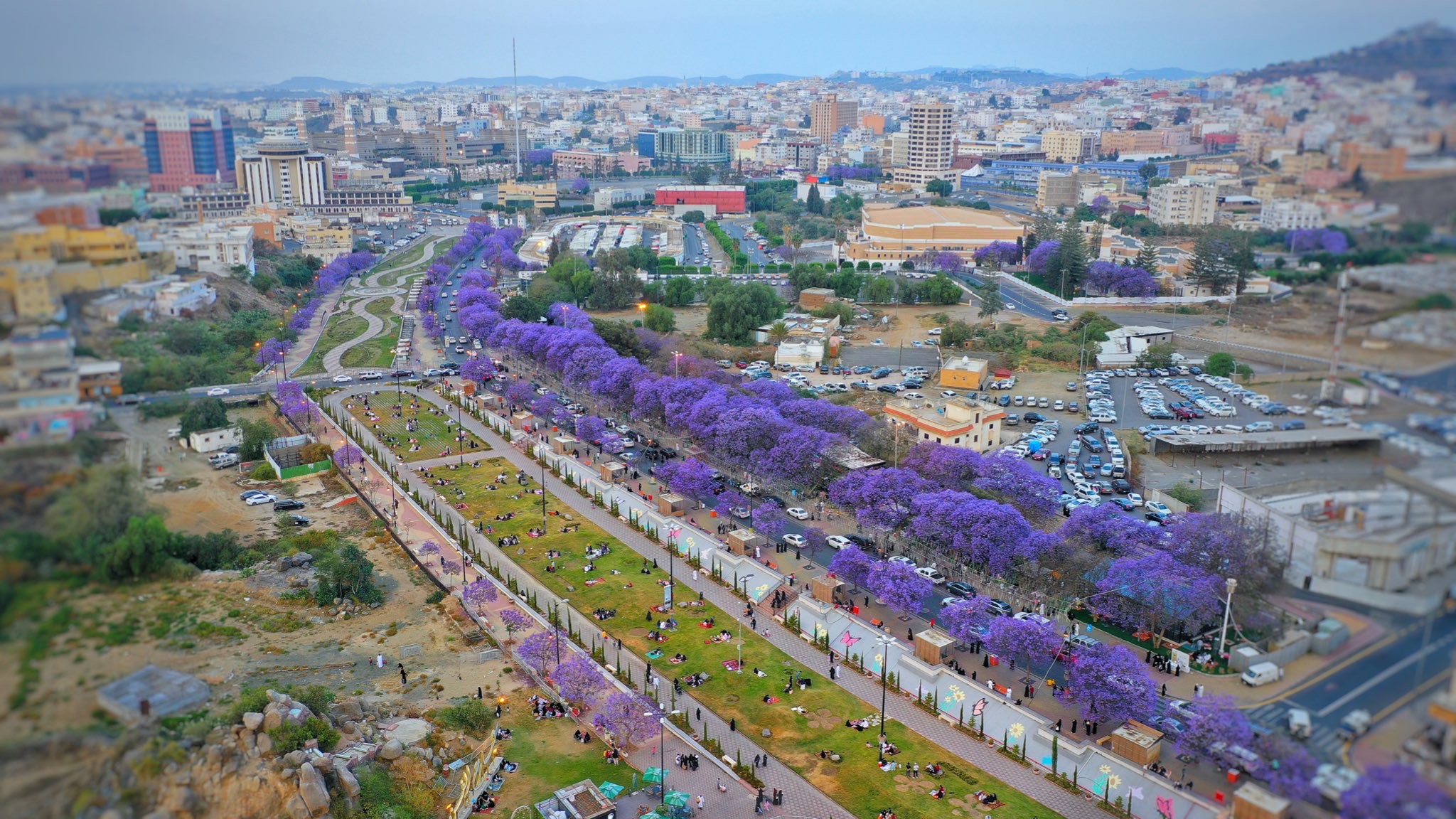 المعالم السياحية في ابها - قافلة التوحيد