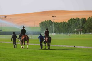 سفاري على ظهر الخيل: تجربة مذهلة في حديقة نوفا البرية